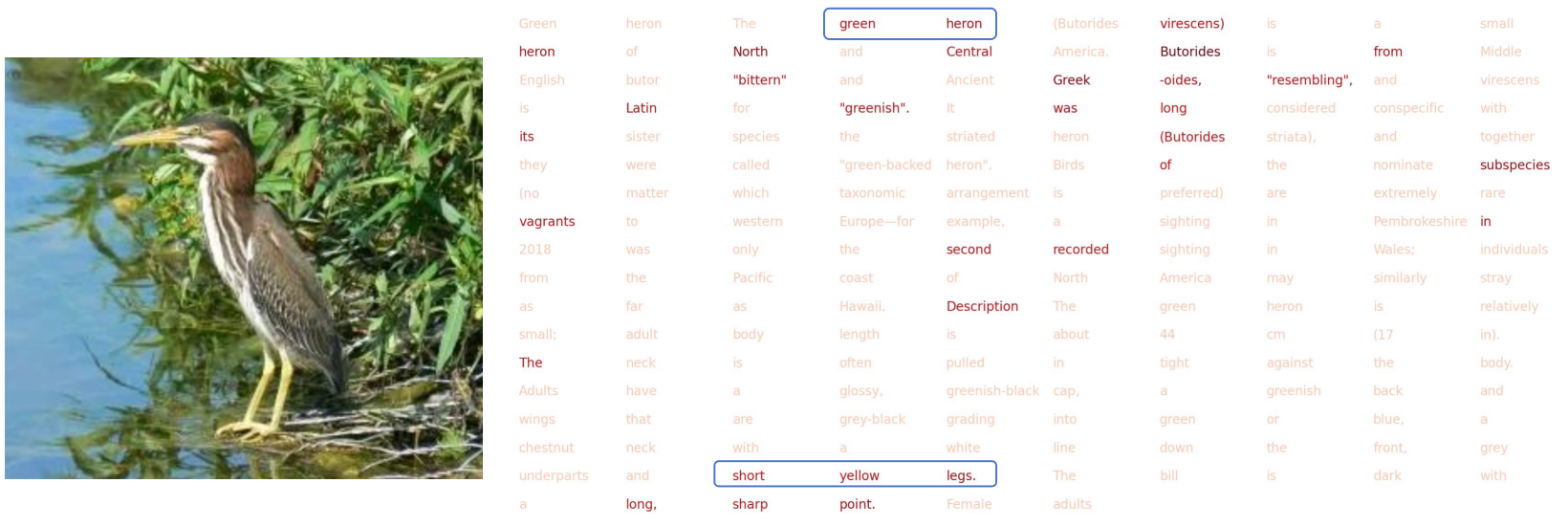 Attention visualization 1