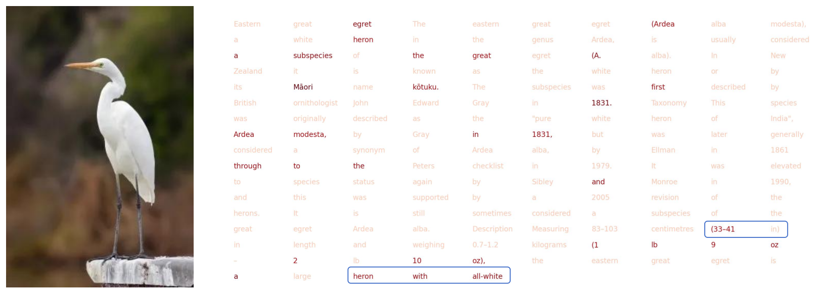 Attention visualization 2