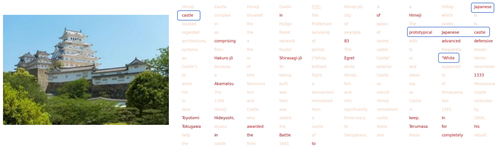 Attention visualization 3