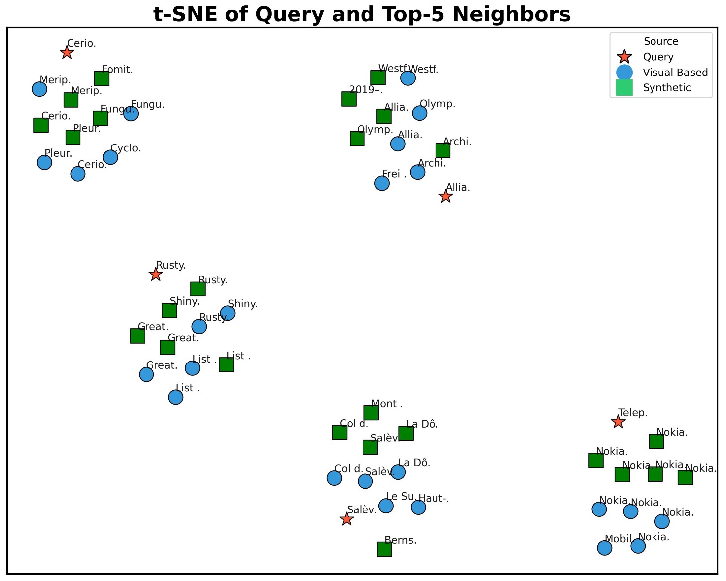 Cluster visualization